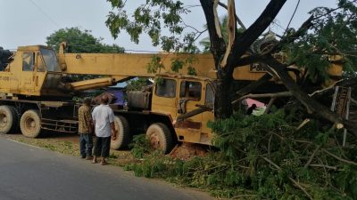 Truk Crane Tabrak Pohon Besar