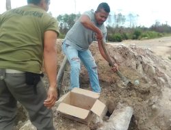 PK KNPI Bunguran Utara Ikut Goro Bangun Jembatan Ambruk di Kelarik