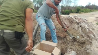 PK KNPI Bunguran Utara Ikut Goro Bangun Jembatan Ambruk di Kelarik