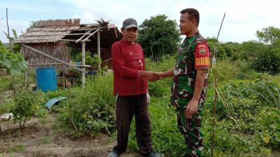 Babinsa Subi Pastikan Pupuk Subsidi Tersalurkan dan Termanfaatkan