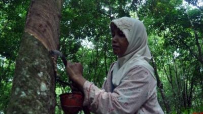 Syaifullah Berharap Harga Karet di Natuna Kembali Membaik