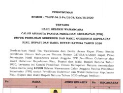 Cek, Ini Nama Calon Anggota PPK Natuna yang Lulus Seleksi Wawancara