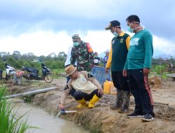 Lingga Siapkan Lahan Sawah di Empat Desa