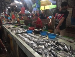 Harga Ikan di Tanjungpinang Turun