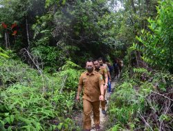 Jalan Kaki Masuk Hutan, Wakil Bupati Lingga Cari Solusi Permasalahan Air Bersih