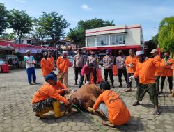 Polres Tanjungpinang Sembelih 11 Hewan Kurban