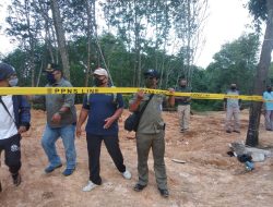 Tak Miliki Izin, Aktivitas Penimbunan Mangrove Ilegal di Jalan Peralatan Tanjungpinang Dihentikan