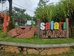 Tim Damkar Tanjungpinang Serahkan Buaya Tangkapan ke Taman Safari Lagoi