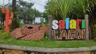 Tim Damkar Tanjungpinang Serahkan Buaya Tangkapan ke Taman Safari Lagoi