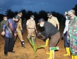 Dewan Kecewa Tak Dikabari soal Program 1 Milyar Pohon Kelapa Pemprov Kepri di Natuna