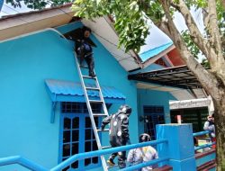 Dinas Pemadam Kebakaran dan Penyelamatan Tanjungpinang Evakuasi Lebah di Dua Tempat