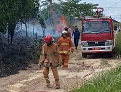 Damkar Berhasil Padamkan Api di Lahan Seluas 2 Hektare di Tanjungpinang