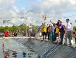 Plt Bupati Lingga Ikut Panen Udang