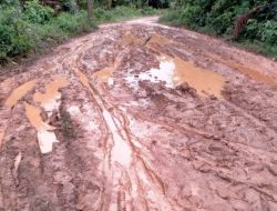 Kondisi Jalan dari Desa Kudung ke Teluk di Lingga Prihatin