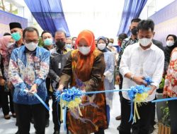 Wagub Marlin Agustina Sambut Rencana Pembangunan Sentra Bisnis UMKM di Batam