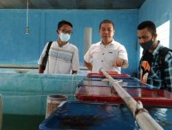 BBI Berharap Pembudidaya Ikan Air Tawar di Natuna Mampu Mandiri dan Berkembang