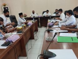 Soal Penerimaan CPNS dan PPPK, DPRD Natuna Minta Putra Daerah Diutamakan