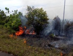 Lahan 1,5 Hektare di Daeng Kamboja Terbakar, Diduga karena Human Eror