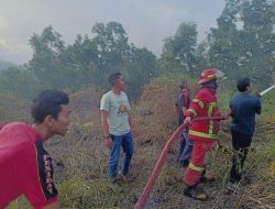 Musim Panas, Kadis Damkar Natuna Himbau Masyarakat Jangan Bakar Lahan