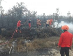 Kadis Damkar Himbau Masyarakat Tidak Bakar Hutan dan Lahan
