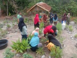 Pokja III TP PKK Natuna Persiapkan Desa Sebadai Ulu Ikuti Penilaian Lomba Gertam Tingkat Provinsi