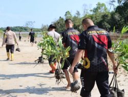 Cegah Abrasi Pantai, HUT Humas Polri ke 72, Polres Natuna Tanam Mangrove
