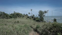 Jalan Menuju Pantai Indah di Desa Pengudang, Bintan