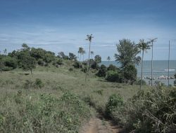 Menjelajahi Pantai nan Elok di Desa Pengudang, Bintan