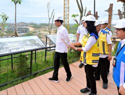 Mobil Terbang dan Tiang Listrik Pintar Akan Hadir di IKN