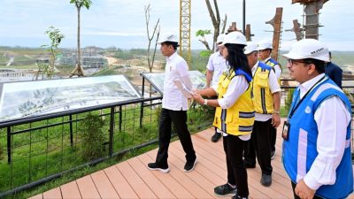 Mobil Terbang dan Tiang Listrik Pintar Akan Hadir di IKN