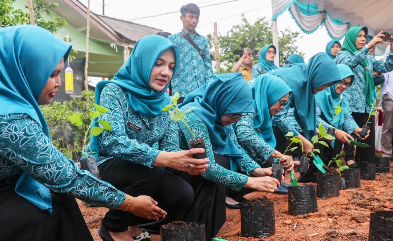 Tingkatkan Kemandirian Pangan, Kader PKK Tanam Ratusan Batang Pohon Cabai di Tanjungpinang