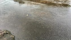 Ilustrasi genangan air tempat berkembang biak nyamuk Aedes Aegypti. (Foto Lintaskepri)