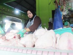 Harga Bahan Pangan di Tanjungpinang Naik, Disdagin Panggil Distributor