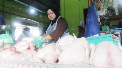 Harga Bahan Pangan di Tanjungpinang Naik, Disdagin Panggil Distributor