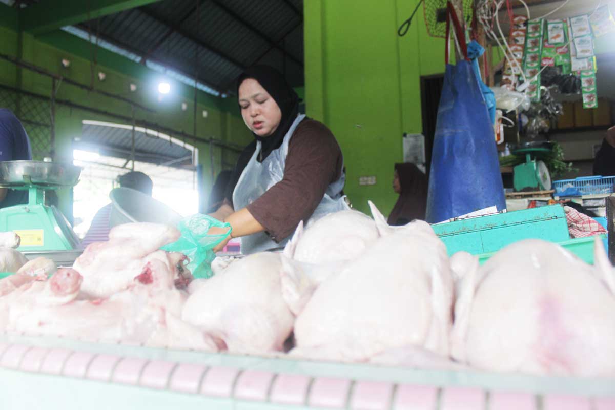 Harga Bahan Pangan di Tanjungpinang Naik, Disdagin Panggil Distributor