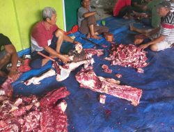 Tips Menikmati Lezatnya Daging Kambing Tanpa Khawatir Kolesterol