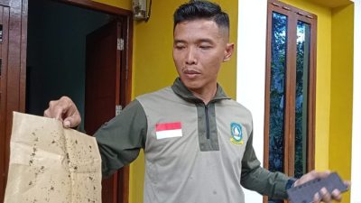 Ratusan Rumah Warga Kampung Tanjung Kapur Bintan Terganggu Hama Lalat