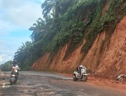 Jalan Rusak di Lintas Timur Bintan Kembali Makan Korban