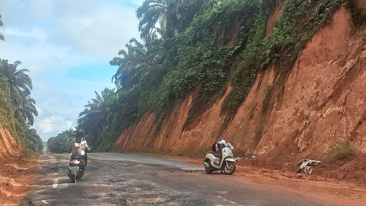 Jalan Rusak di Lintas Timur Bintan Kembali Makan Korban