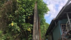 Dinding Pembatas Nyaris Ambruk Mengancam Rumah Warga di Tanjungpinang