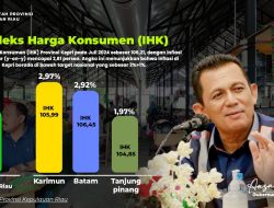 Inflasi Kepri Terkendali di Bawah Target Nasional, Beras dan Emas Perhiasan Jadi Penyumbang Utama