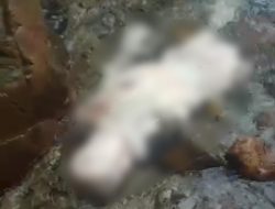 Nelayan Tambelan Temukan Mayat Tak Utuh di Laut