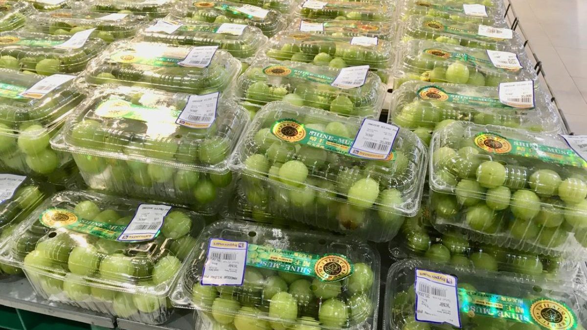 BPOM Tanjungpinang Pastikan Anggur Shine Muscat Aman Dikonsumsi