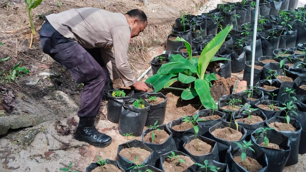 Dukung Program Pemerintah, Polsek Bukit Bestari Galakkan Penanaman Pangan Bergizi