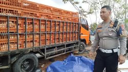 Dua Pengendara Motor Tewas Terlindas Truk Pengangkut Ayam di Bintan