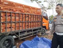 Dua Pengendara Motor Tewas Terlindas Truk Pengangkut Ayam di Bintan