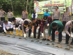 Polresta Tanjungpinang Manfaatkan Lahan Produktif Wujudkan Program Ketahanan Pangan