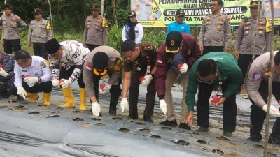 Polresta Tanjungpinang Manfaatkan Lahan Produktif Wujudkan Program Ketahanan Pangan