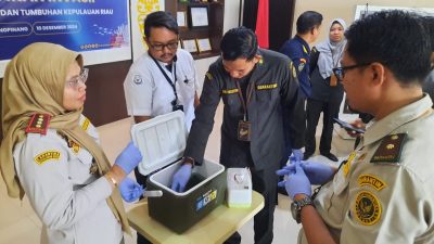 Balai Karantina Kepri Musnahkan Ikan Sapu-Sapu Hasil Sita dari Pedagang