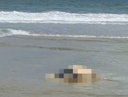 Mayat Tanpa Identitas Ditemukan di Pantai Bintan Lagoon